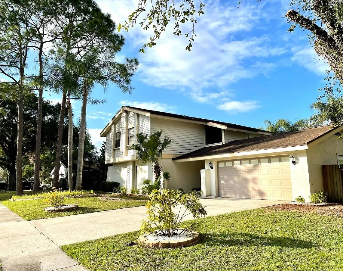 Boho Oasis With Pool- Paradise For Work & Fun Tampa