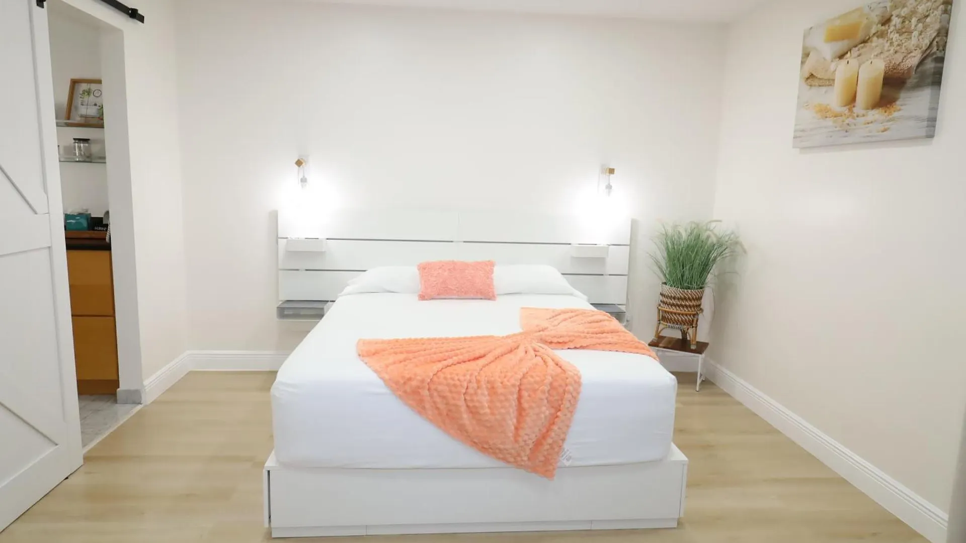 Holiday home Boho Oasis With Pool- Paradise For Work & Fun Tampa
